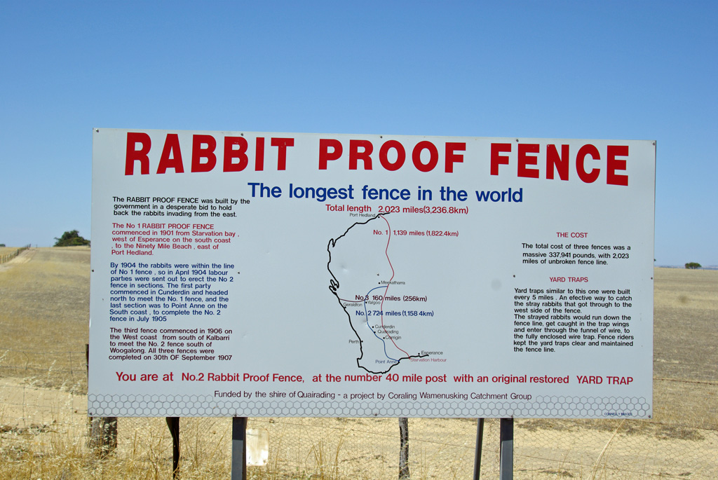 rabbit-fence.jpg